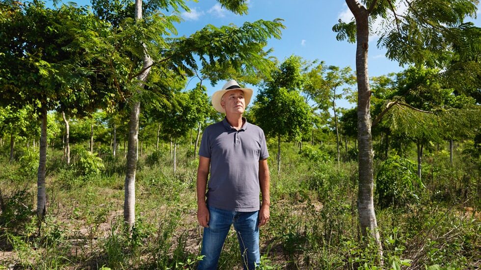 El Restore Fund de Apple cultiva nuevas raíces en el bosque Atlántico